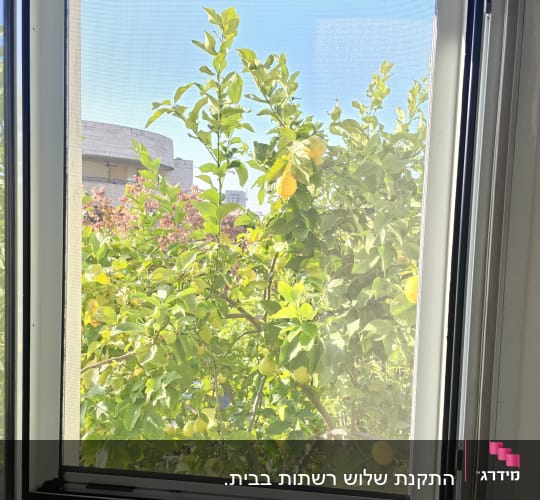 מסגרת חלון אלומיניום פתוחה עם רשת שקופה